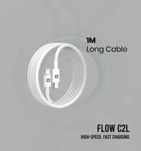 Flow-C2L_04