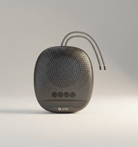 Swiss Military Audio ANCHA DUDE 5W portable Bluetooth speaker with TWS, FM radio, and mobile holder. Black.